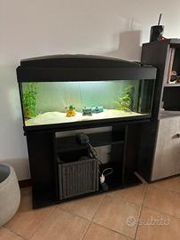 Acquario 180 litri petcompany