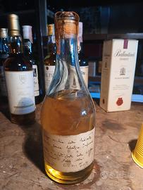 Grappa della donna selvatica 1978
