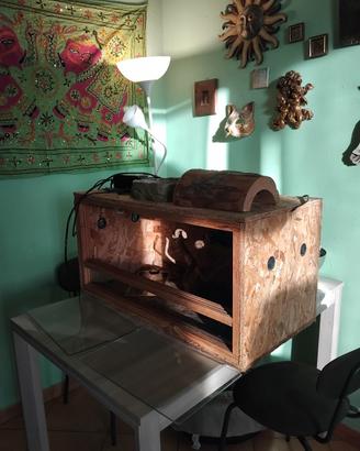 terrario per rettili 