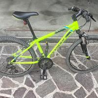 bicicletta da bambino