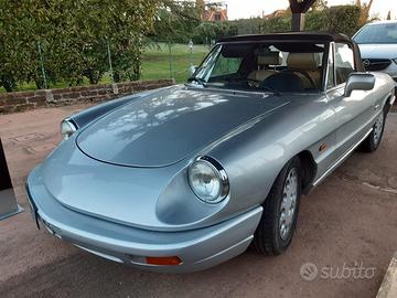 duetto spider alfa romeo