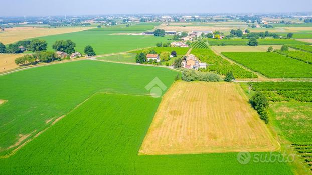 TER. AGRICOLO A REGGIO NELL'EMILIA