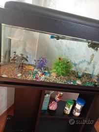 acquario