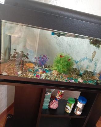 acquario