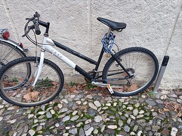 Bici mountainbike
