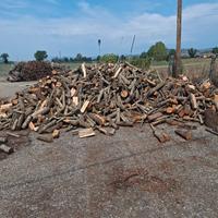 LEGNA DI QUERCIA NON VERDE DISPONIBILE A BENEVENTO