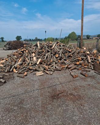 LEGNA DI QUERCIA NON VERDE DISPONIBILE A BENEVENTO