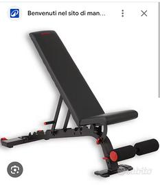 panca allenamento palestra