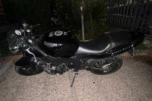 moto triumph 600