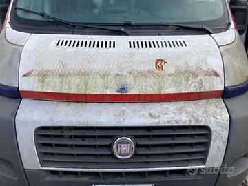 COFANO ANTERIORE FIAT Ducato 5° Serie cofano duca