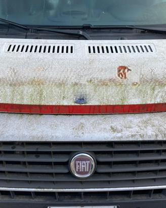 COFANO ANTERIORE FIAT Ducato 5° Serie cofano duca