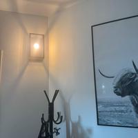 Lampadario+2 applique in vetro stile industriale