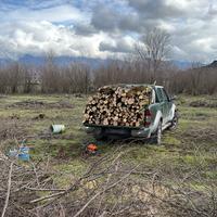 Legna da ardere nocciolo