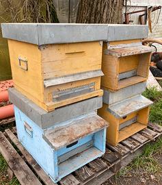 4 Arnie per Apicoltura/Api