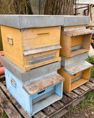 4 Arnie per Apicoltura/Api