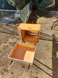 ARNIE .   per cessione attività 