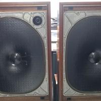 Coppia di casse yamaha