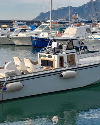 Boston Whaler Outrage 22 EFB 