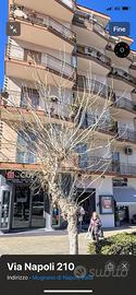 Appartamento Mugnano di Napoli