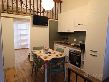 Monolocale finemente arredato