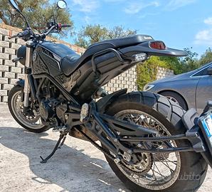 Benelli Leoncino 500 - 2022