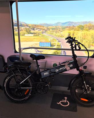 fat bike