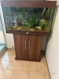 Acquario juwel rio 125