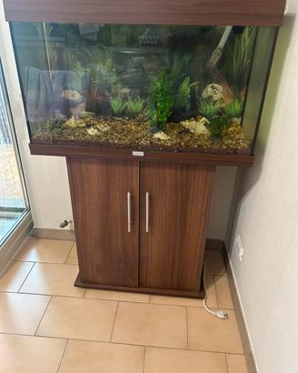 Acquario juwel rio 125
