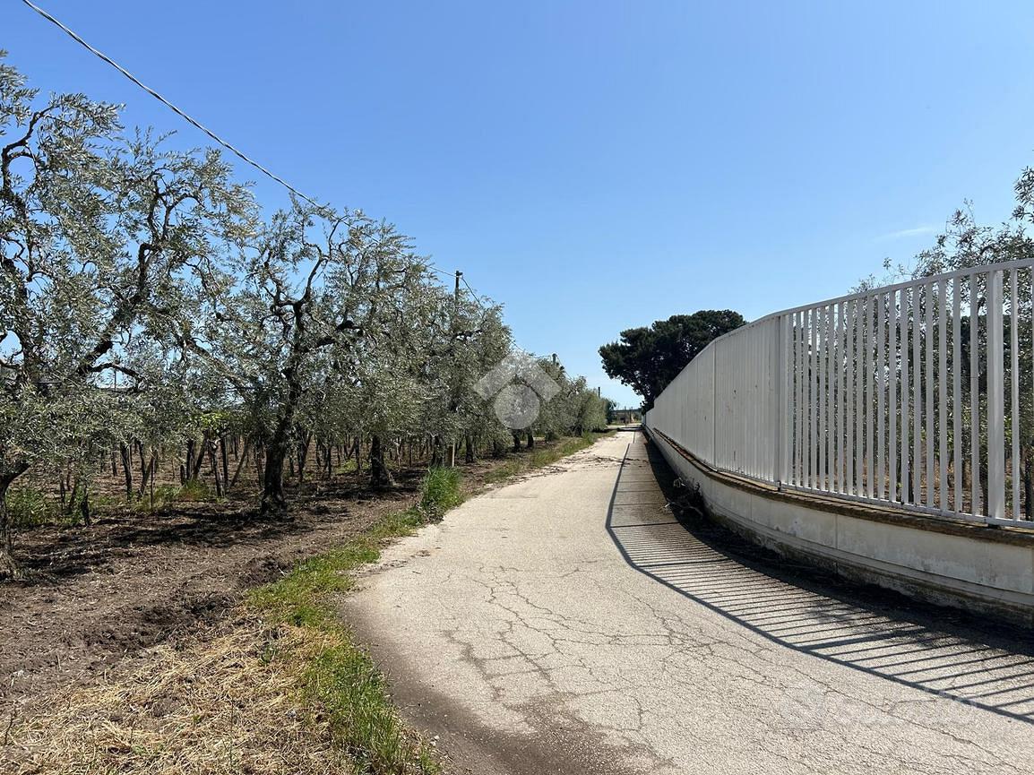 TER. AGRICOLO A CERIGNOLA - Vista 4