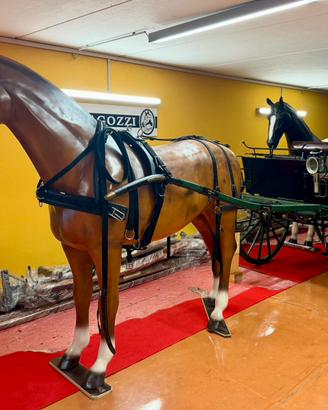 Carrozza per cavalli modello gig dos a dos