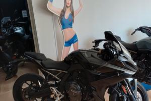 Suzuki GSX-8R