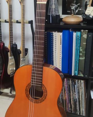 Chitarra Classica Vantage Vc  10 