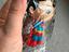Immagine 4