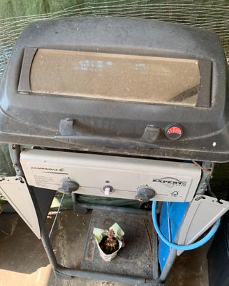 Barbecue a gas