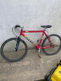 Bicicletta