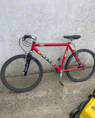 Bicicletta