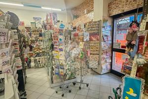 NEGOZIO A SETTALA