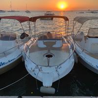 Albatros wa 6.06