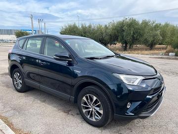 Toyota rav 4 Hybrid business