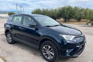 Toyota rav 4 Hybrid business