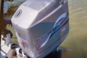Motore Mariner 115 ELPTO e Rio 600 Fish