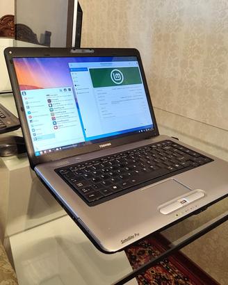 Notebook Toshiba Satellite Pro A300-24P