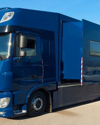 Van trasporto cavalli con living in allestimento