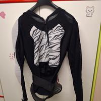 pettorina moto trial