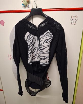 pettorina moto trial