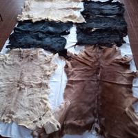 Pelli di coniglio e vitello