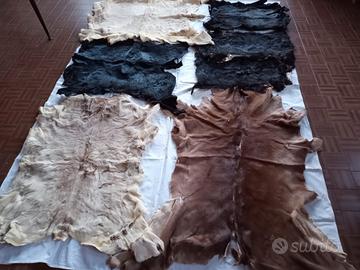 Pelli di coniglio e vitello