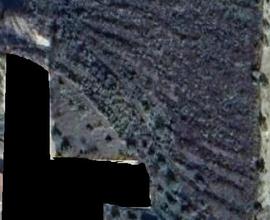 Casa di campagna con terreno e uliveto - Da ristru