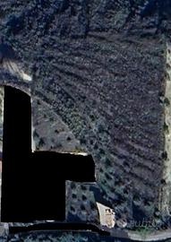 Casa di campagna con terreno e uliveto - Da ristru