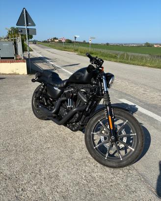 Harley 883 Iron 2017 – 17k km – Tagliandata – Gomm